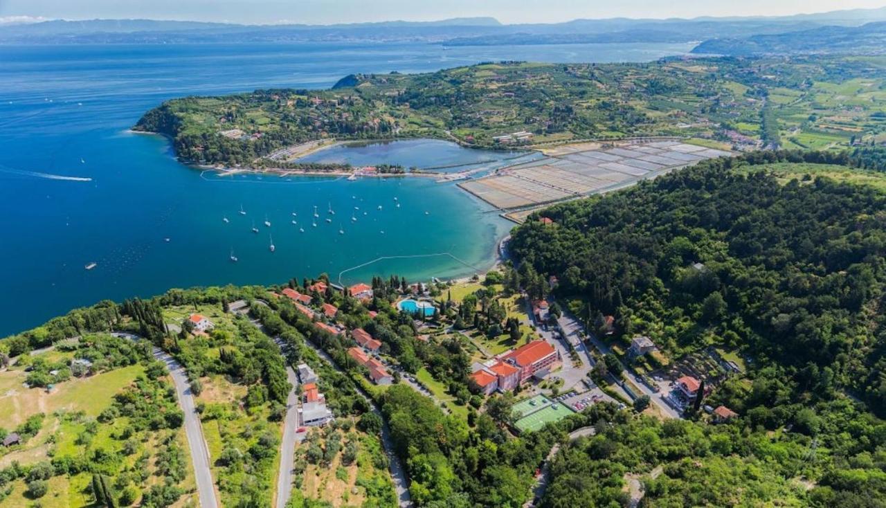 Dino Studio And Room Apartments Portorož Buitenkant foto